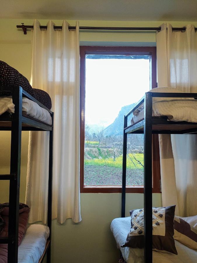 Farm And Camps Hostel Manali (Himachal Pradesh)