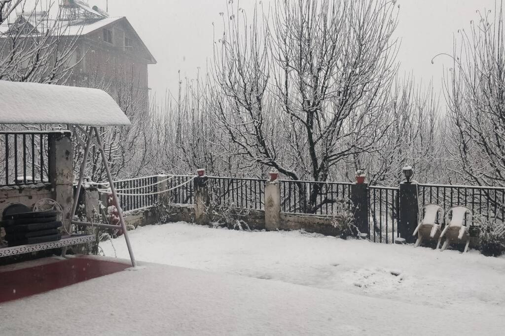Aroma Taru / ,manali *