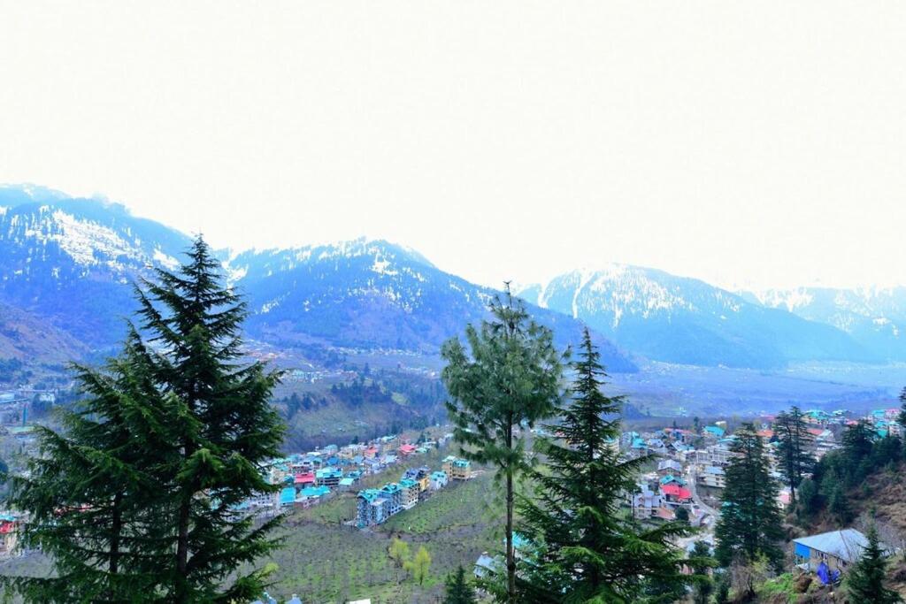 Homestay Himalayan Adventure & Budget Friendly
