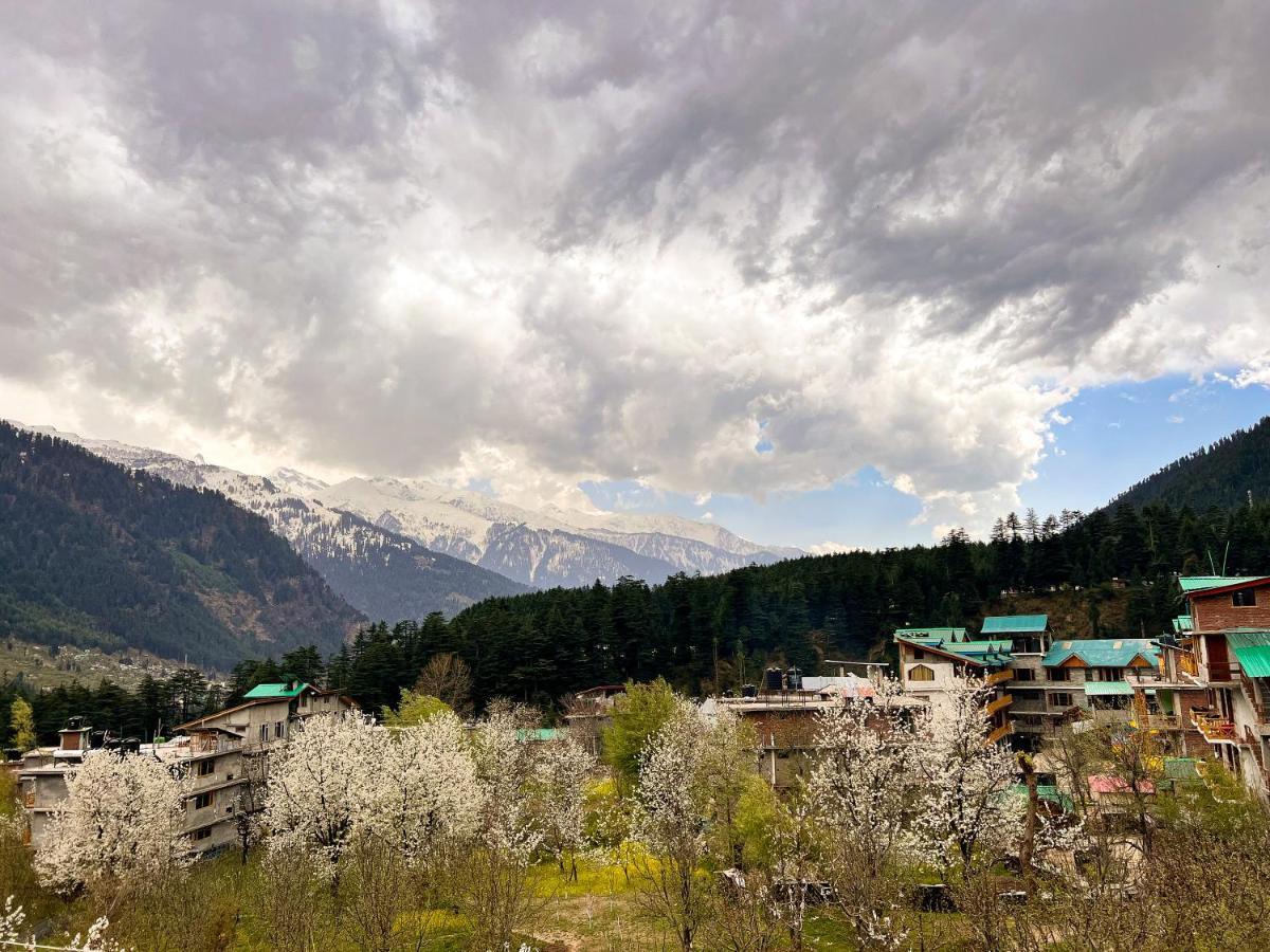 Yolo Backpackers - Manali (Himachal Pradesh)