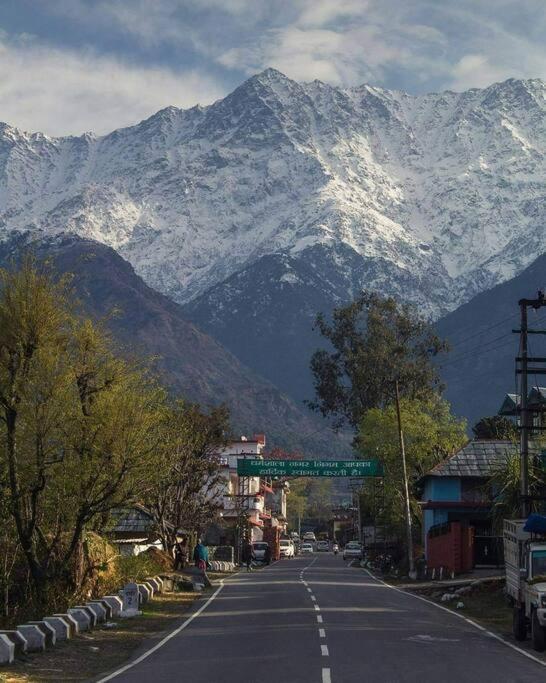 Aroma Taru / ,manali * Manali (Himachal Pradesh)