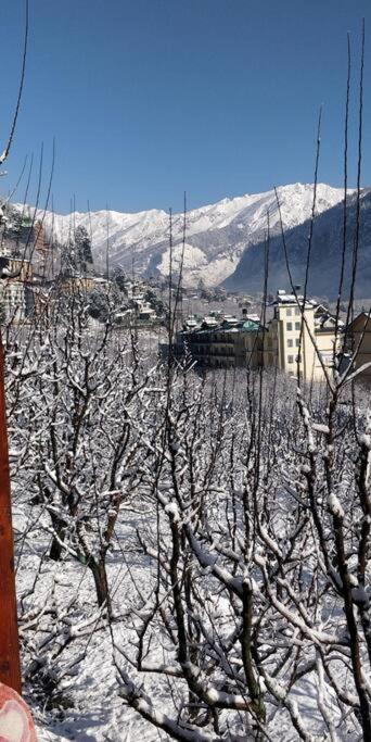 Villa Aroma Taru / ,manali Manali (Himachal Pradesh)