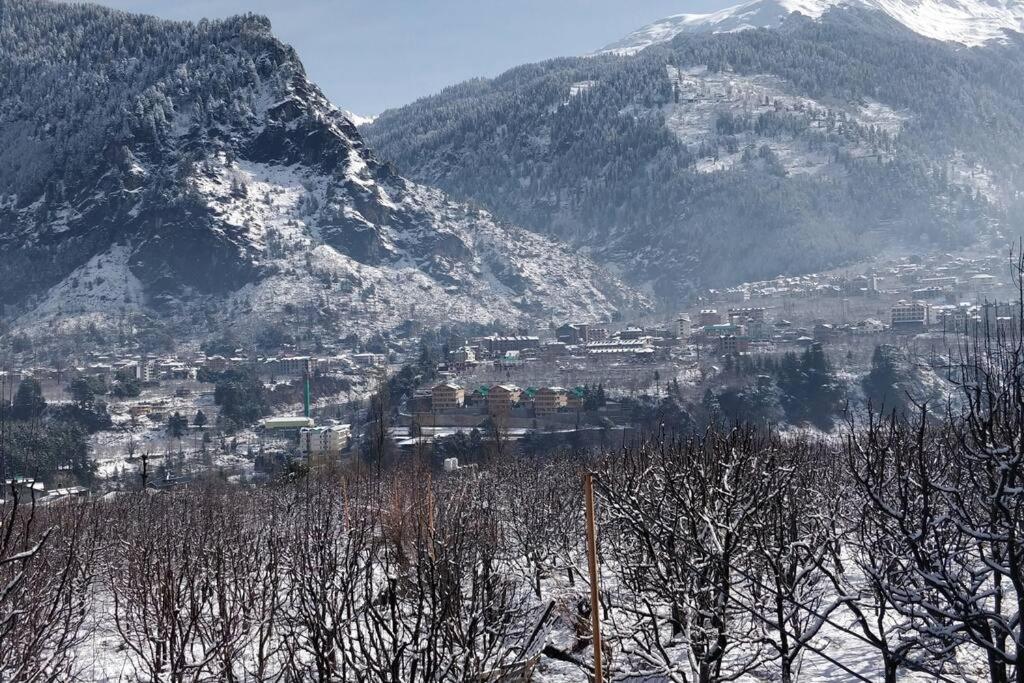 Aroma Taru / ,manali * Manali (Himachal Pradesh)