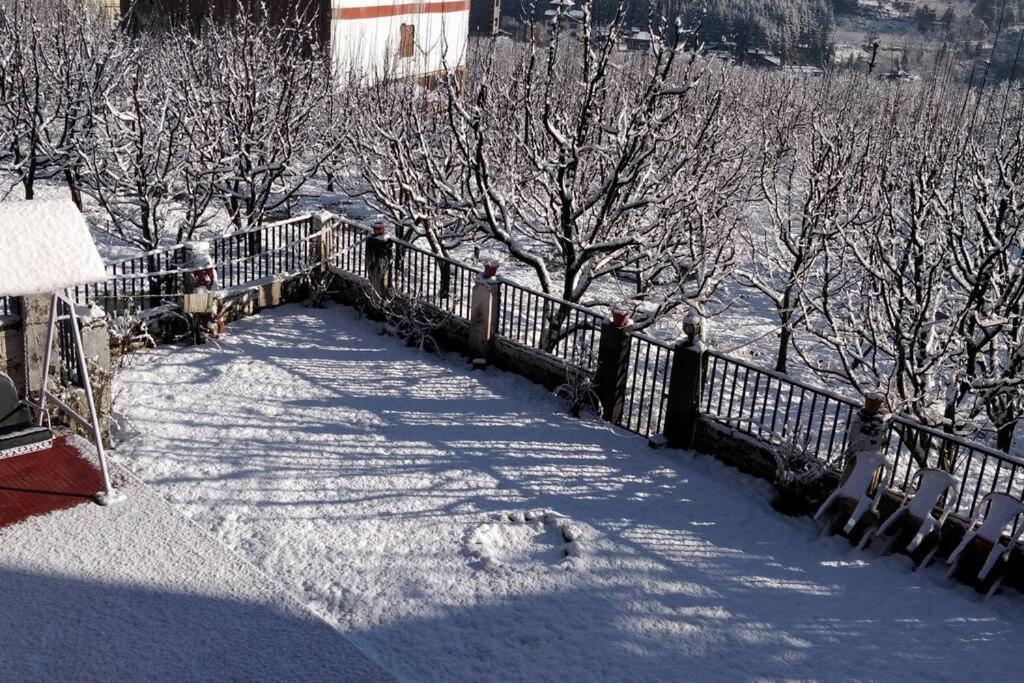 Aroma Taru / ,manali Villa *
