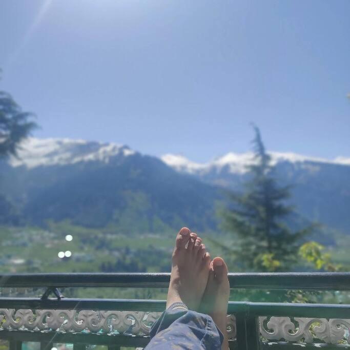 Aroma Taru / ,manali