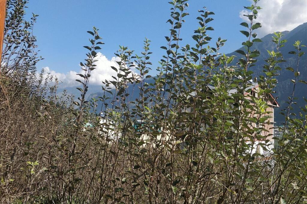 Aroma Taru / ,manali Villa *