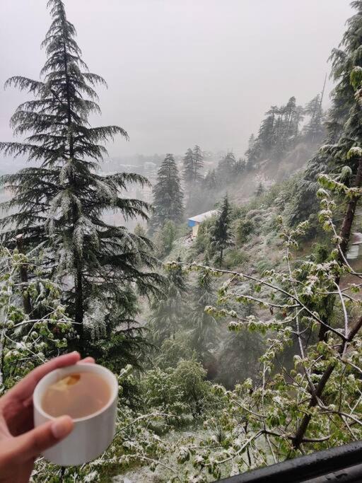 Aroma Taru / ,manali Villa Manali (Himachal Pradesh)