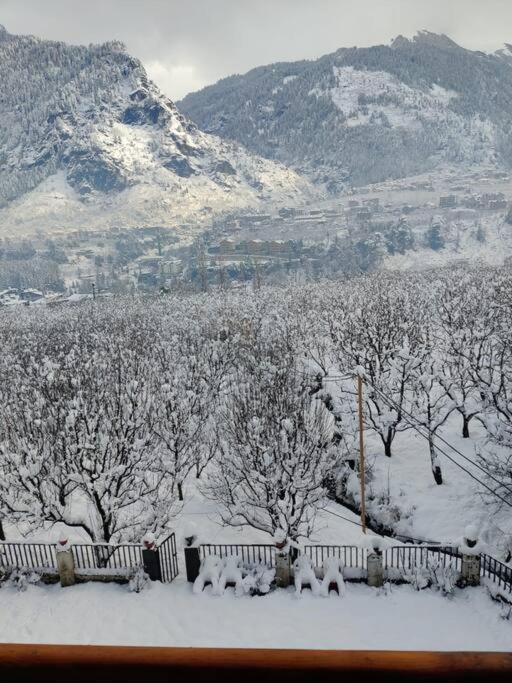 Aroma Taru / ,manali *