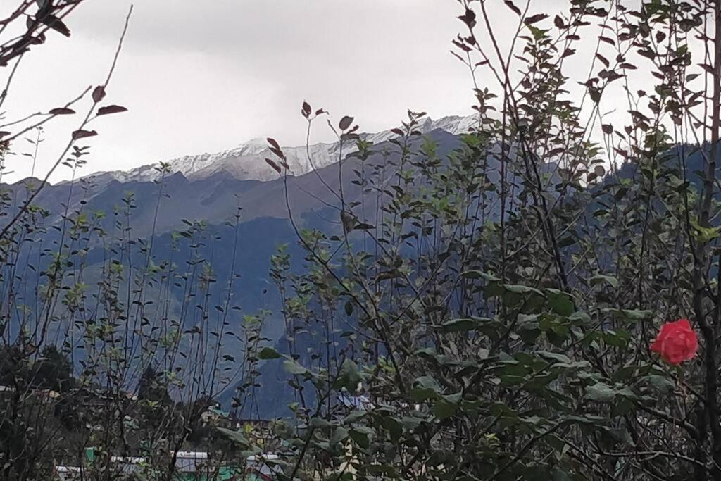 Aroma Taru / ,manali Villa *