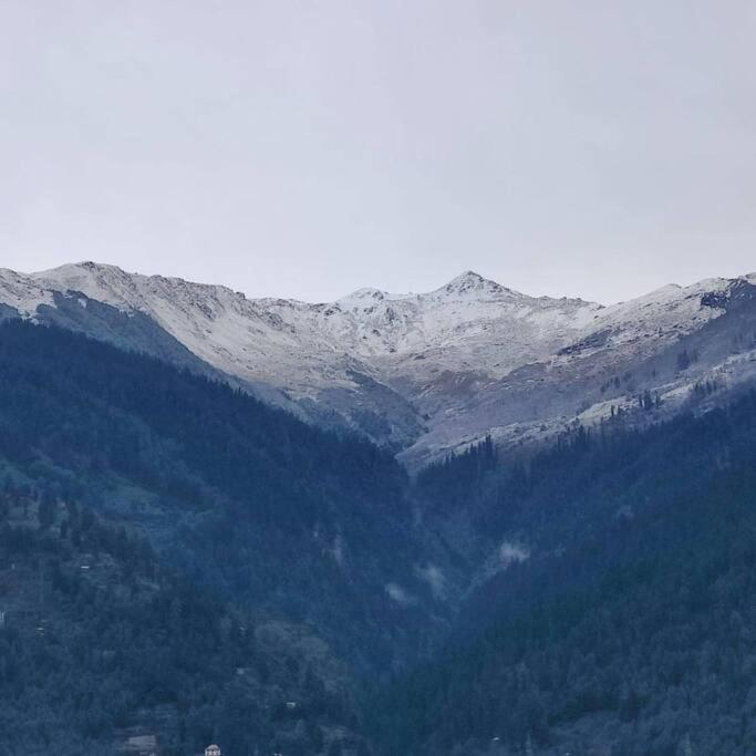 Aroma Taru / ,manali
