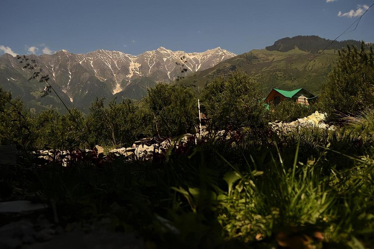 Aarnaa - View Of Valleys & Mountains - Near Mall Road 3*