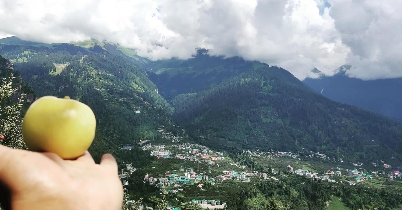 The Cedar & Independent & Kitchenette Fireplace Tandoor & Bbq Manali (Himachal Pradesh)