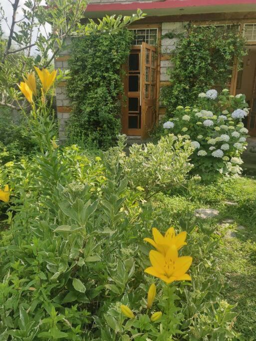 Cliffer Cottage: Make Mountains Memorable!