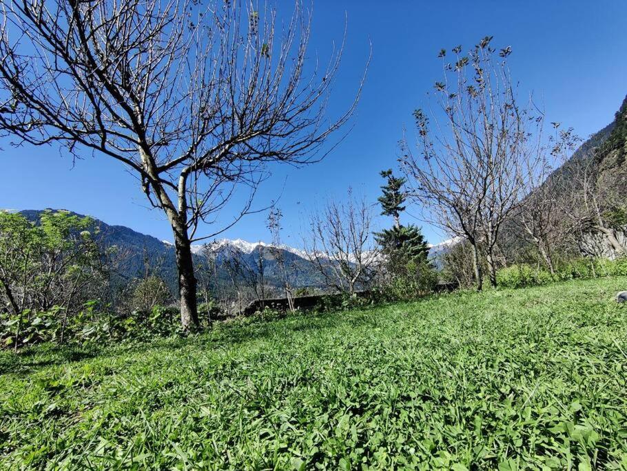 Cliffer Cottage: Make Mountains Memorable!