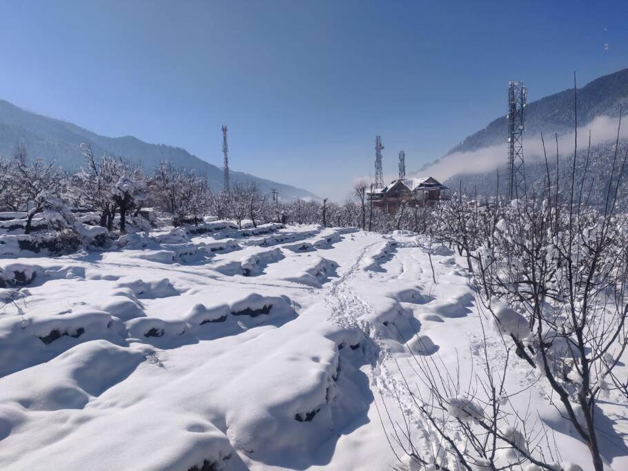 Cliffer Cottage: Make Mountains Memorable! * Manali (Himachal Pradesh)