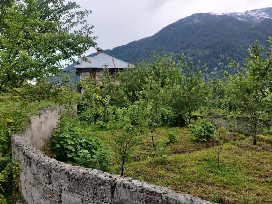 Cliffer Cottage: Make Mountains Memorable!