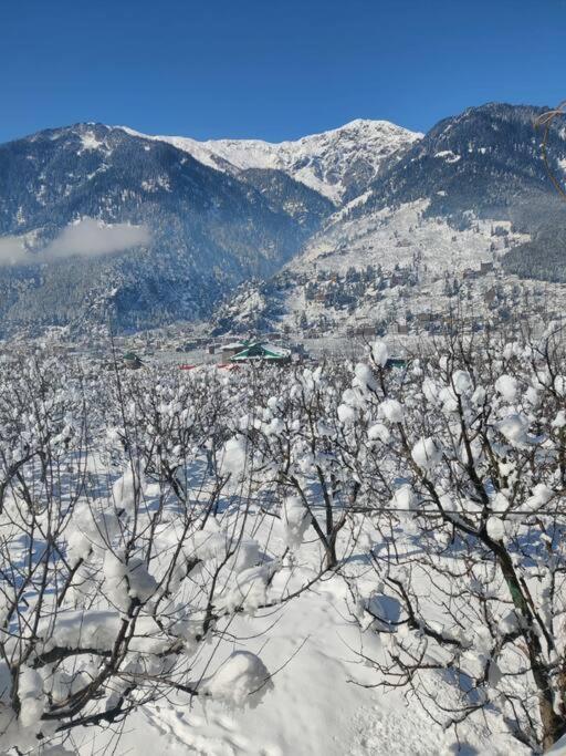 Cliffer Cottage: Make Mountains Memorable! * Manali (Himachal Pradesh)