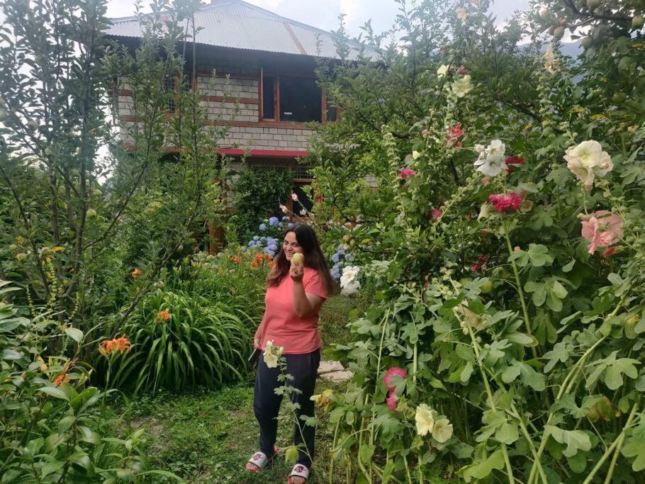 Cliffer Cottage: Make Mountains Memorable! Manali (Himachal Pradesh)