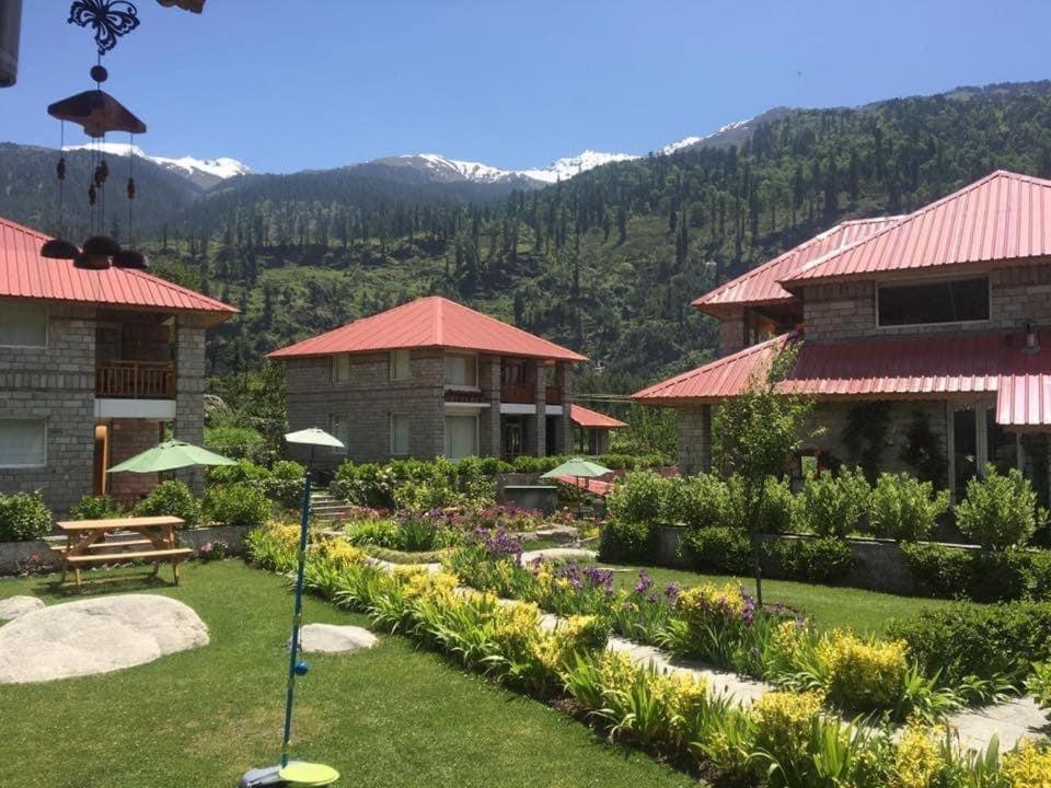 The Amrit 2&3 Bhk Homestay *