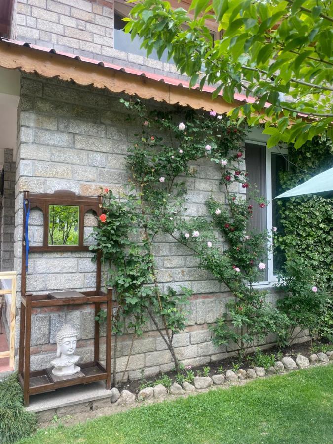 The Amrit 2&3 Bhk Homestay