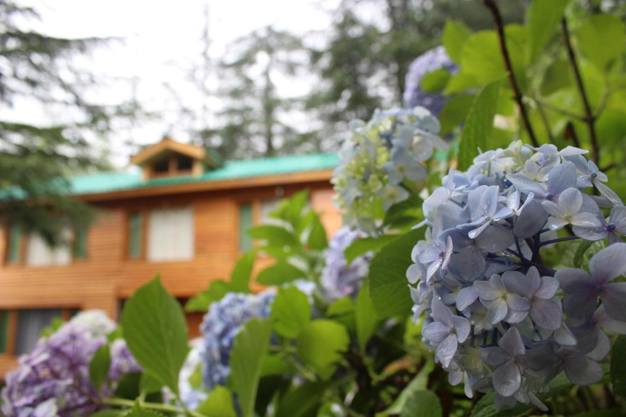 Bed & Breakfast Mary's Manali (Himachal Pradesh)