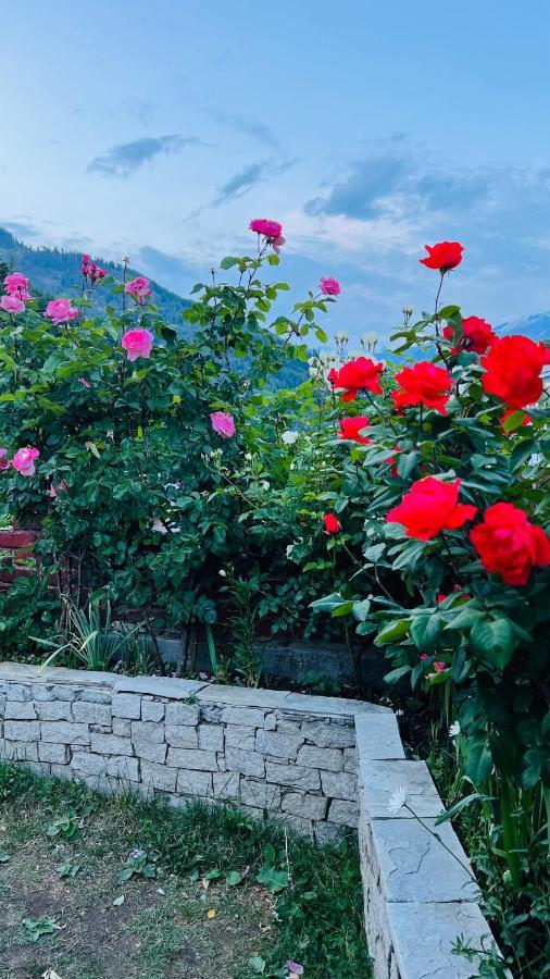 Nature Valley Manali (Himachal Pradesh)