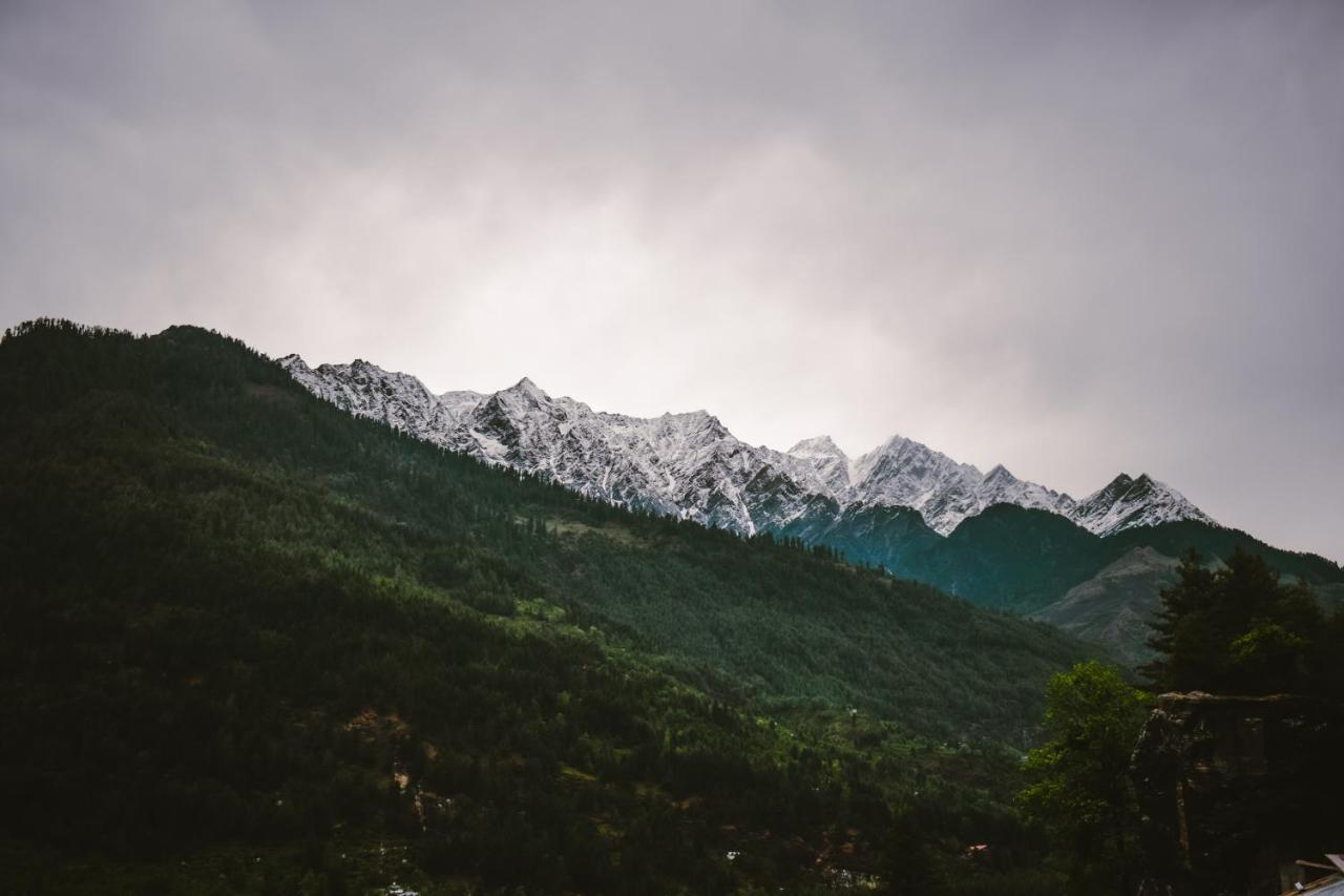 Hide-in Manali (Himachal Pradesh)