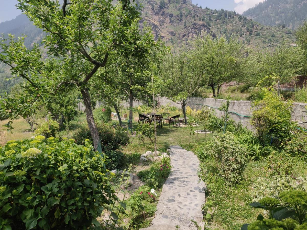 Cliffer Cottage: Make Mountains Memorable! * Manali (Himachal Pradesh)