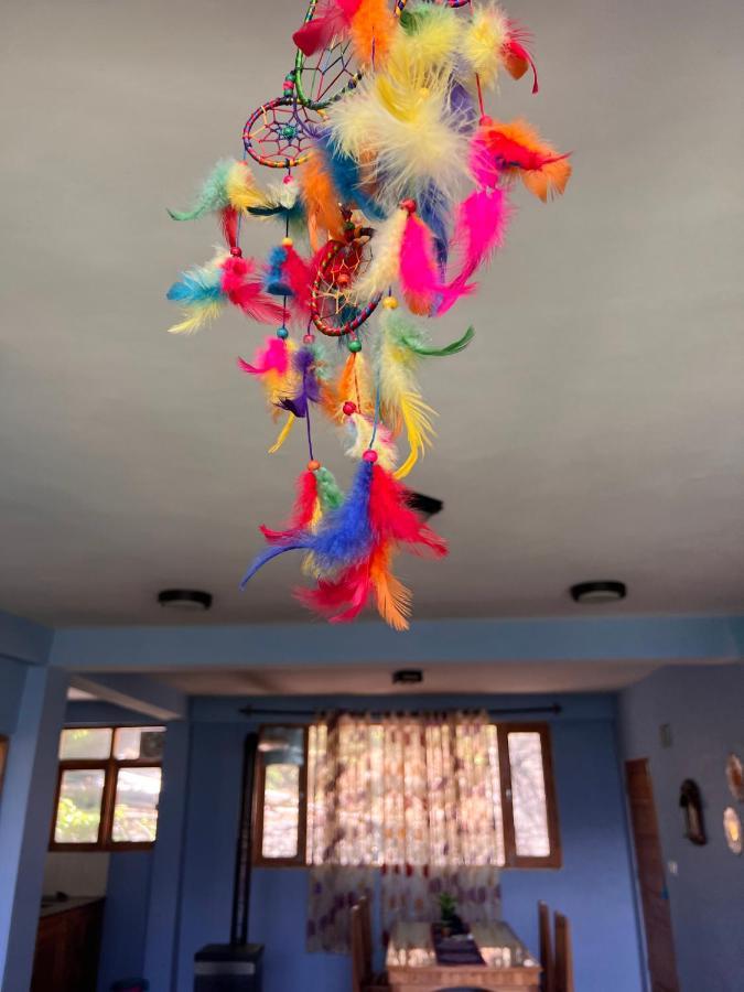 Akasa Boutique Homestay * Manali (Himachal Pradesh)