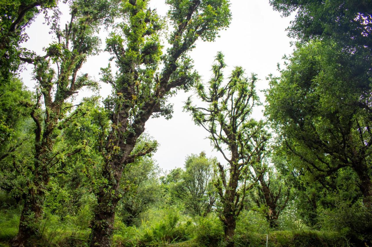 Jal-vayu Cottages * Manali (Himachal Pradesh)