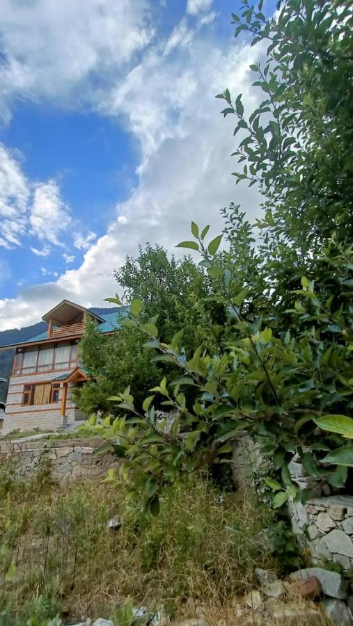 Homestay Palzey - A Boutique