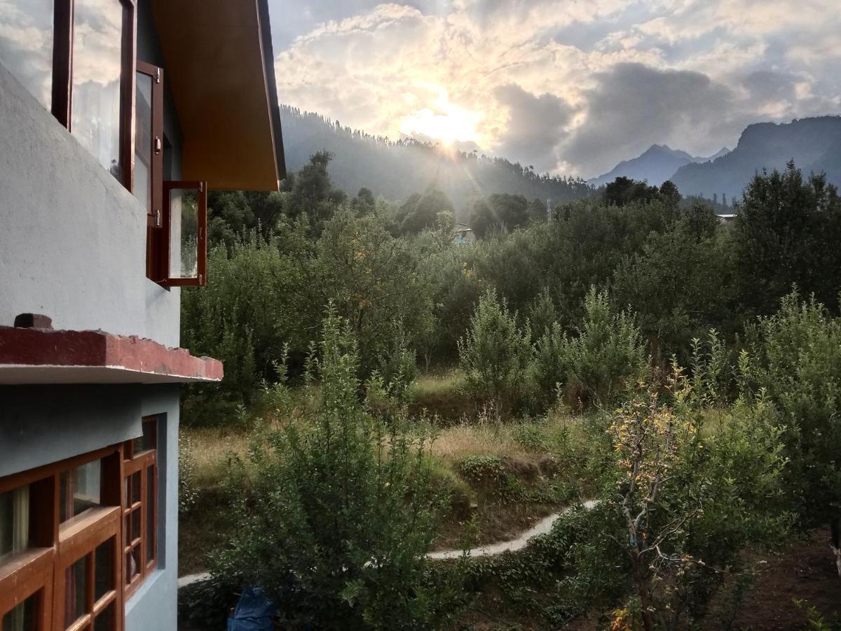 Pahadi Manzil Homestay &