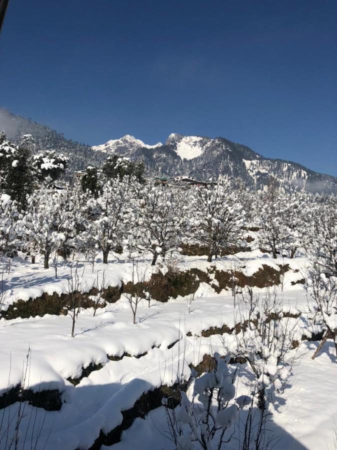 Homestay Pahadi Manzil Homestay & *