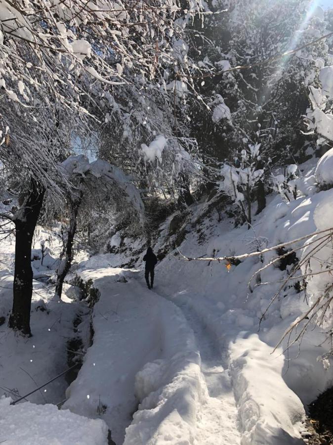Homestay Pahadi Manzil Homestay & Manali (Himachal Pradesh)