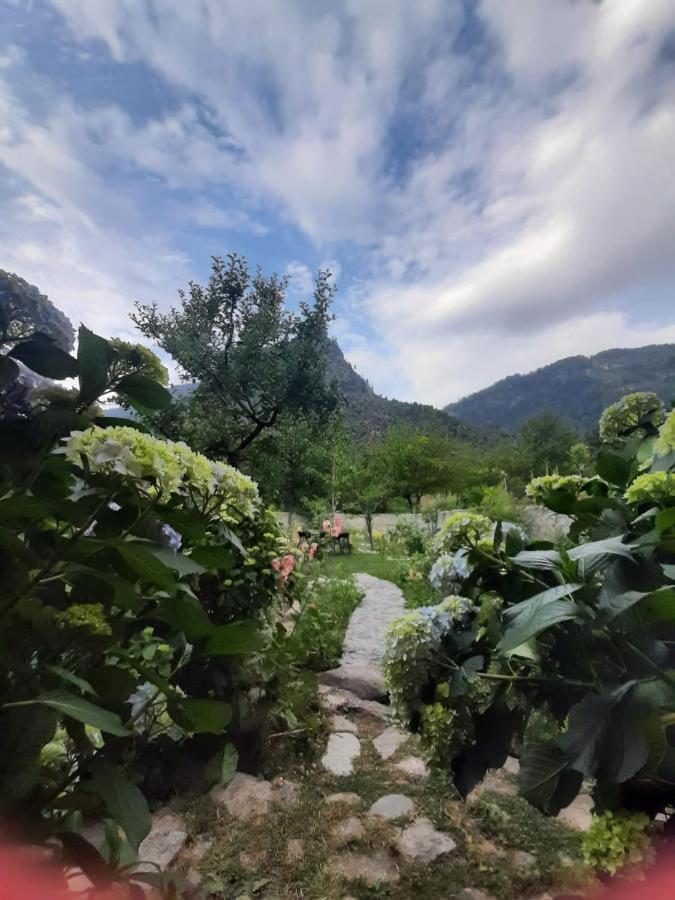 Cliffer Cottage: Make Mountains Memorable! Villa Manali (Himachal Pradesh)