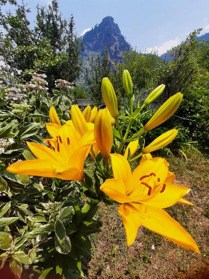 Villa Cliffer Cottage: Make Mountains Memorable! Manali (Himachal Pradesh)