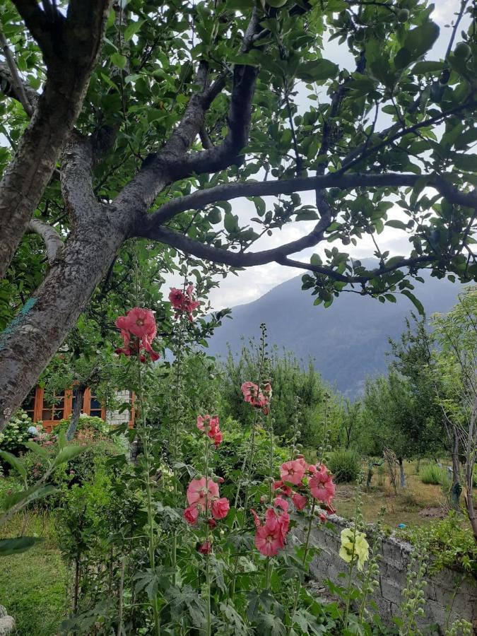 Villa Cliffer Cottage: Make Mountains Memorable! *