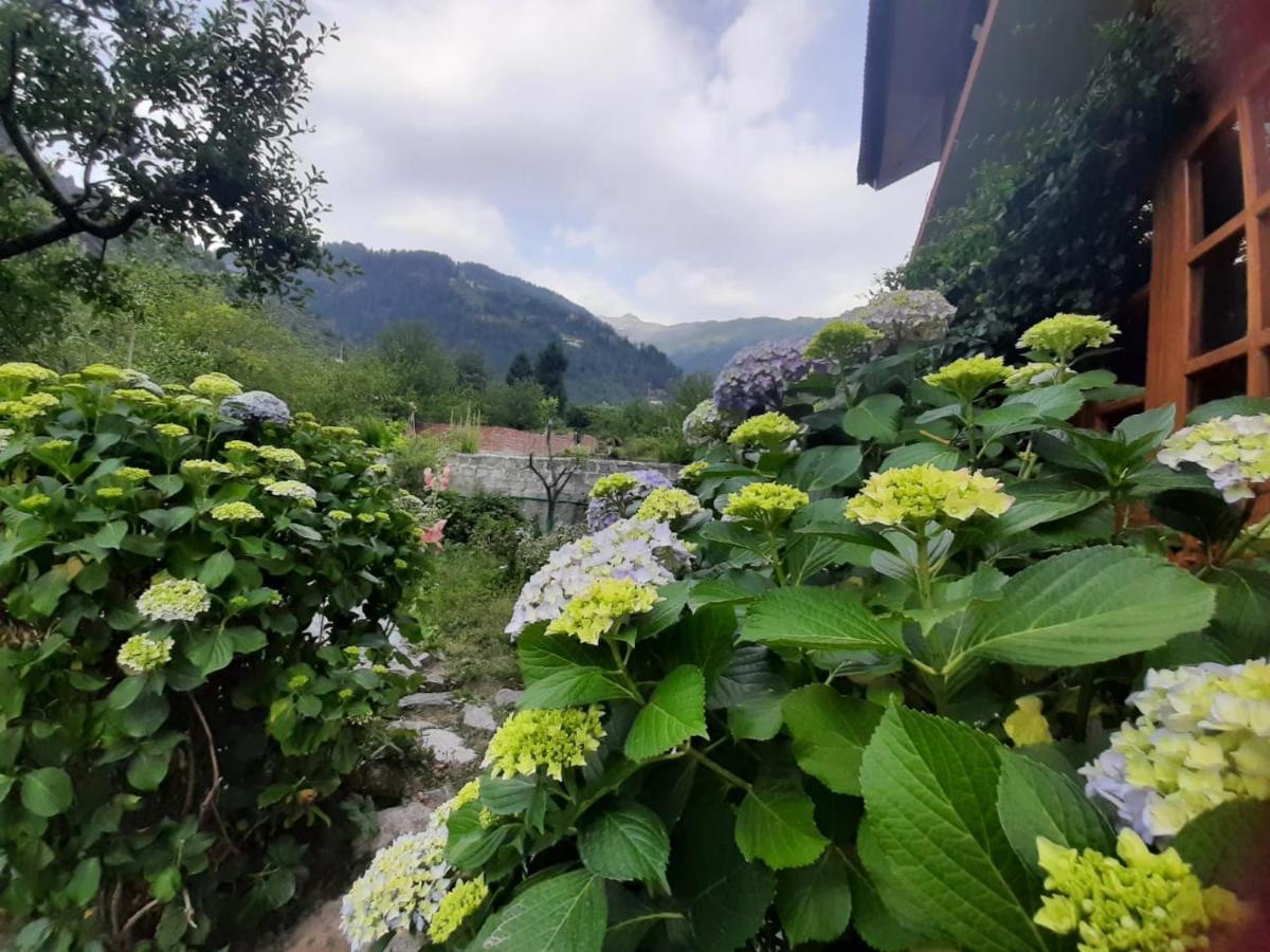Cliffer Cottage: Make Mountains Memorable!