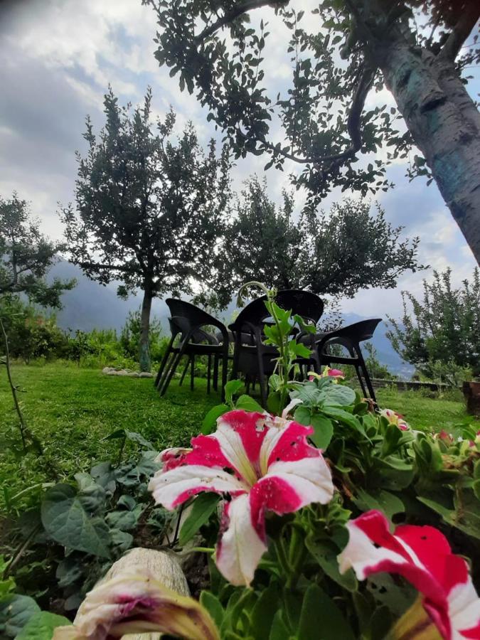 Cliffer Cottage: Make Mountains Memorable! Villa Manali (Himachal Pradesh)