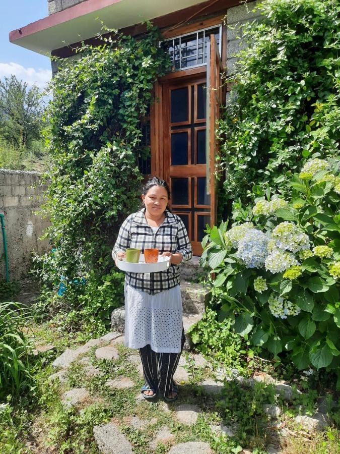 Cliffer Cottage: Make Mountains Memorable! Villa Manali (Himachal Pradesh)