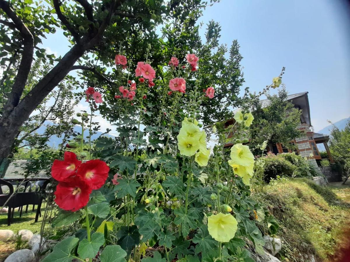Cliffer Cottage: Make Mountains Memorable!