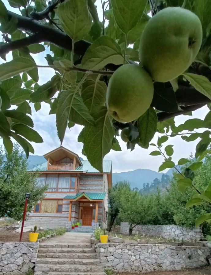 Palzey - A Boutique Homestay