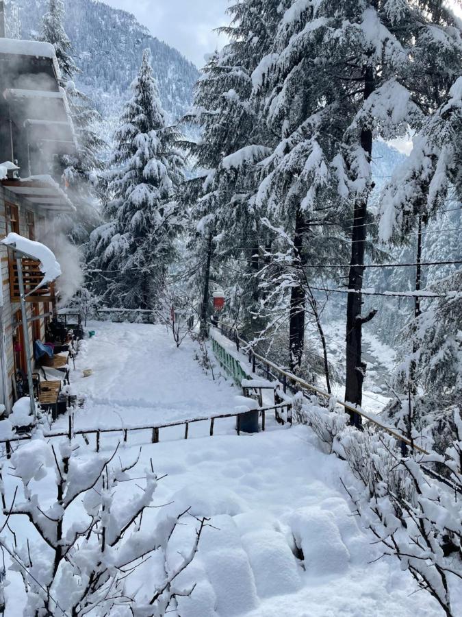 The Doors * Manali (Himachal Pradesh)