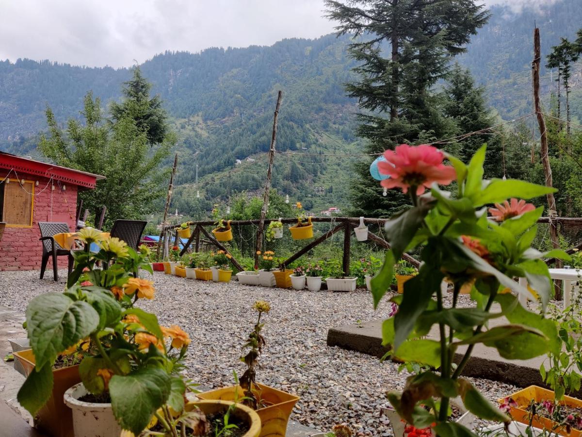 Safar Hostel Manali (Himachal Pradesh)