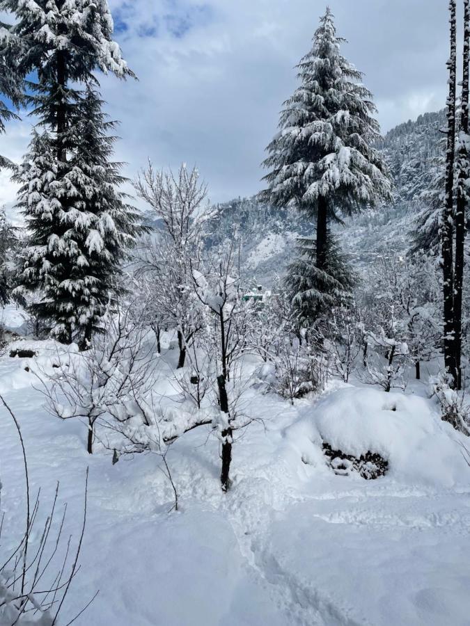 Homestay The Doors Manali (Himachal Pradesh)