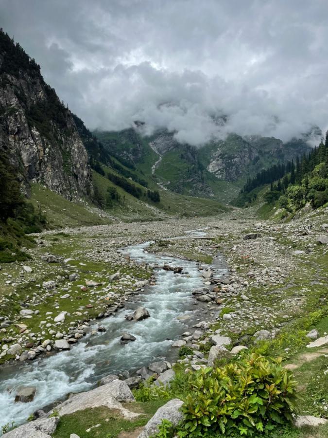 The Ivy House Sethan Manali (Himachal Pradesh)
