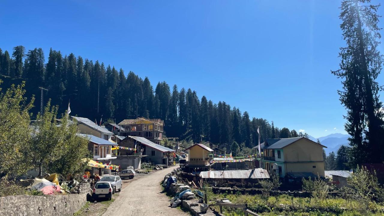 The Ivy House Sethan * Manali (Himachal Pradesh)