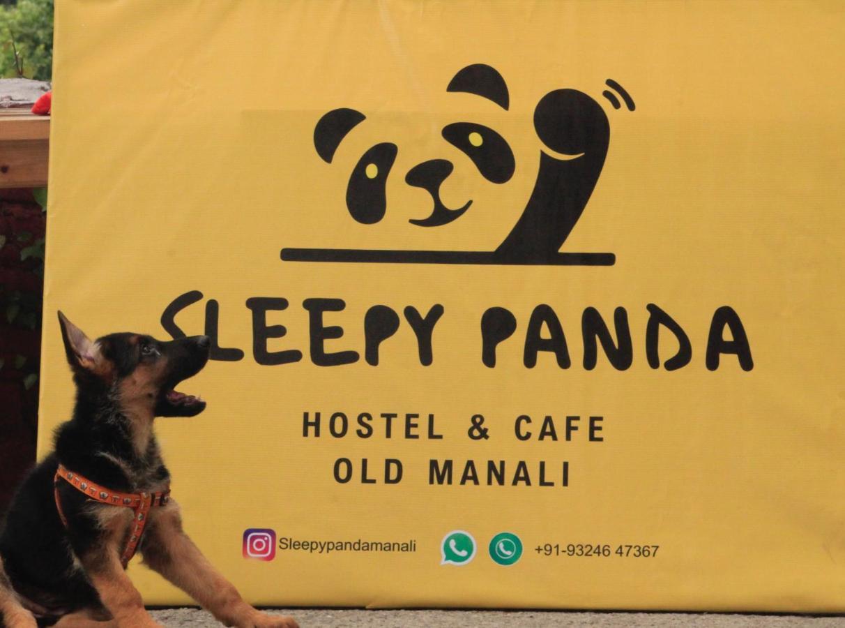 Sleepy Panda * Manali (Himachal Pradesh)