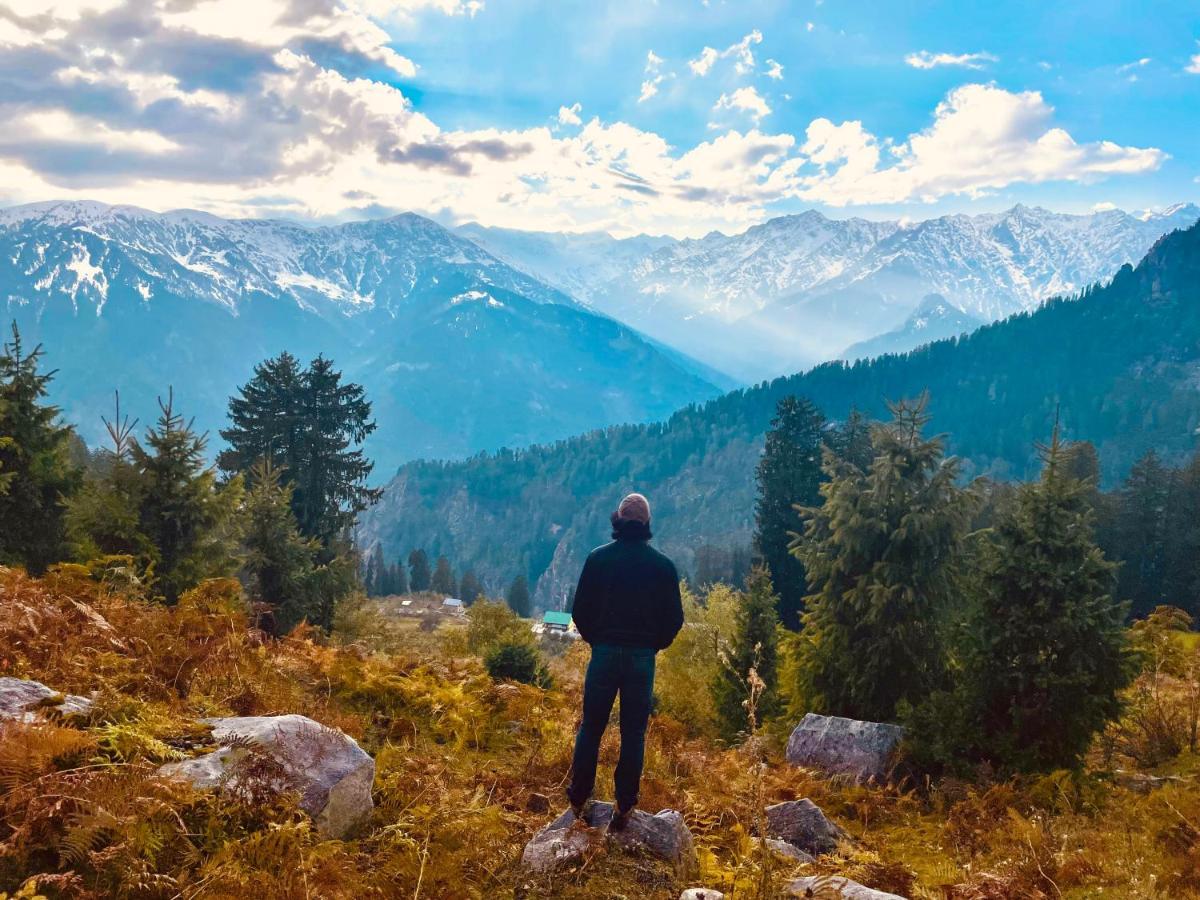 Homestay The Ivy House Sethan Manali (Himachal Pradesh)