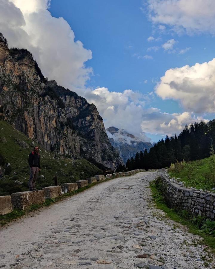 Homestay The Ivy House Sethan Manali (Himachal Pradesh)
